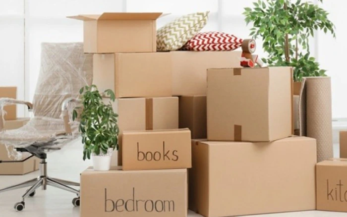 professional packers and movers
